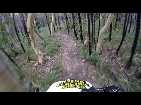 Crazy tight singletrack