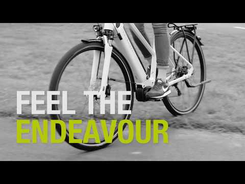 KALKHOFF // Feel the Endeavour