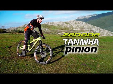 Enduro, carbono y Pinion se unen para crear la bestia: Zerode Taniwha Pinion