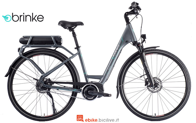 city ebike Brinke con Shimano Nexus 8 di2