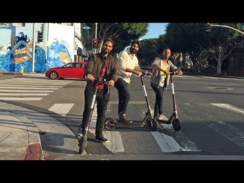Bird Electric Scooters in Santa Monica? They're Everywhere...