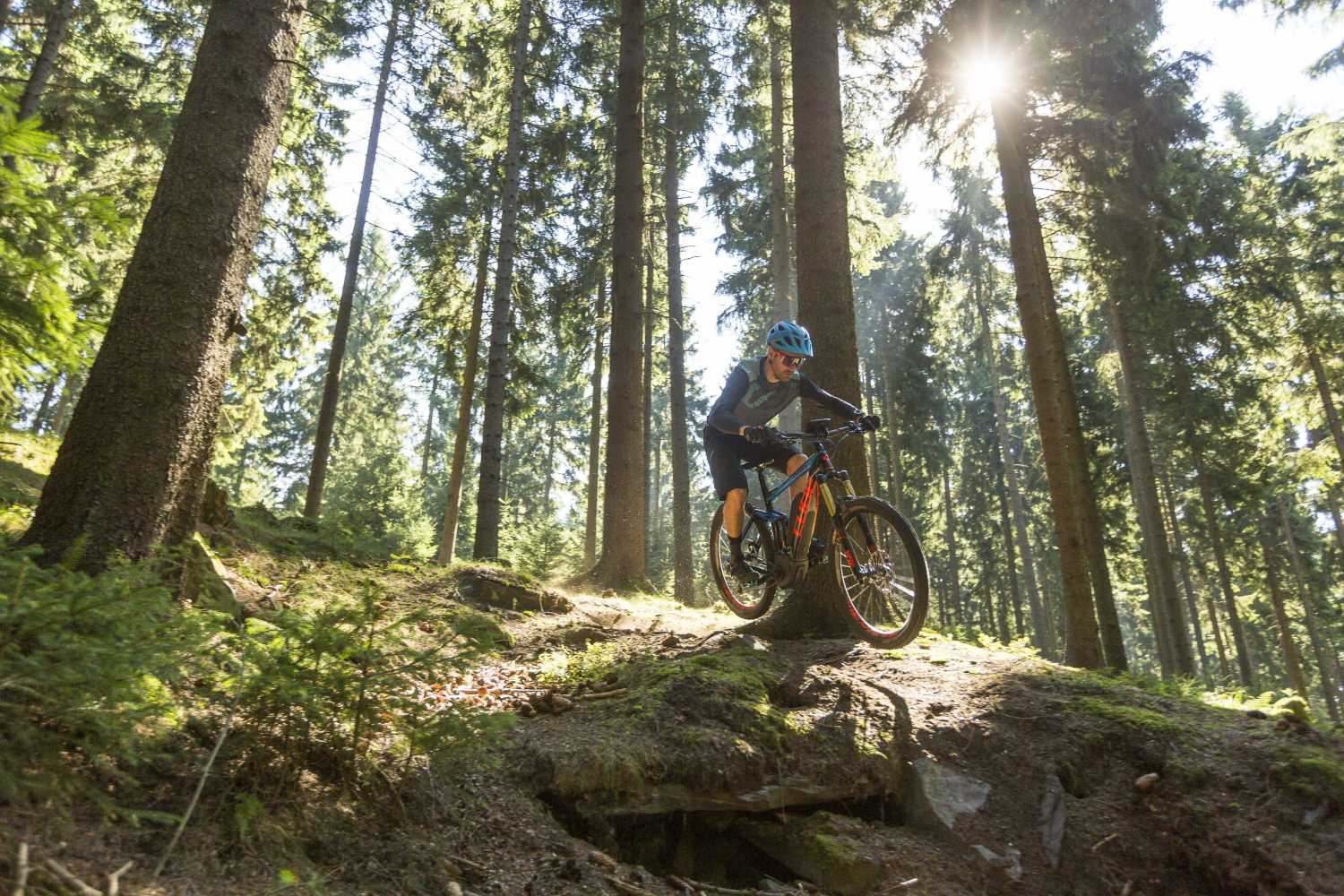 eBike Typ