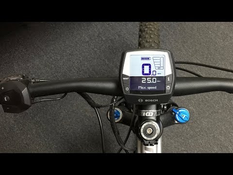 Bosch Intuvia Electric Bike Display Settings