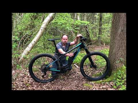Wisper Wolf Carbon Electric Mountain Bike Review