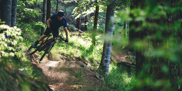 Ein eMTB für alle Fälle: Trails, Offroadtouren und ausreichend Uphill-Flow mit dem Shimano E8000.