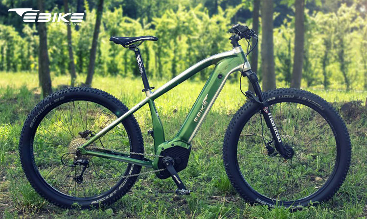 Una bici a pedalata assistita R004 Indianapolis del marchio Ebike Das Original