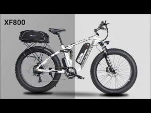 We Love Fat Ebikes, And You ?