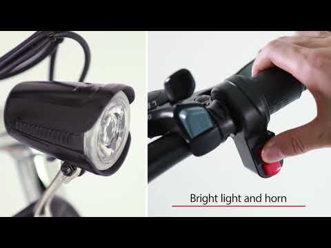 ANCHEER AN-EB004 Folding Electric Bike