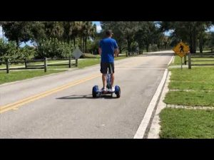 3 Wheel Scooter Triad 750 XL CSX Quantum Dual Rear Drive Off Road Electric Scooter for Adults Review