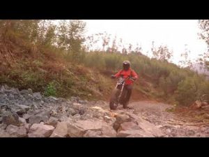 Carbon Fiber Electric Bike DENZEL SAMURAI