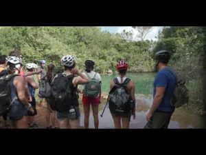 Pedego Bermuda – Electric Bike Tour