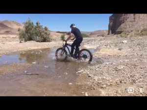 Ecotric ebike Hammer-O