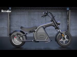 Rooder mangosteen Citycoco Chopper 3000w 30ah
