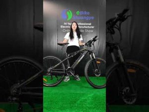 Shuangye full suspension electric mountain bike A6AH26-S