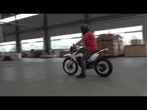 Electric motorcycle Denzel RUSH