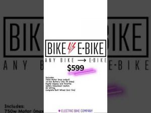Electric Bike for EVERYONE