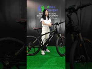 Shuangye hot sell electric mountain bike A6AH26
