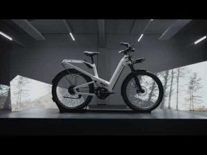 Riese & Müller Homage – Full Suspension, Step-Through, Extended Range  Electric Bike