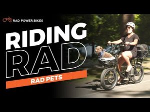 Riding With Pets | Riding Rad