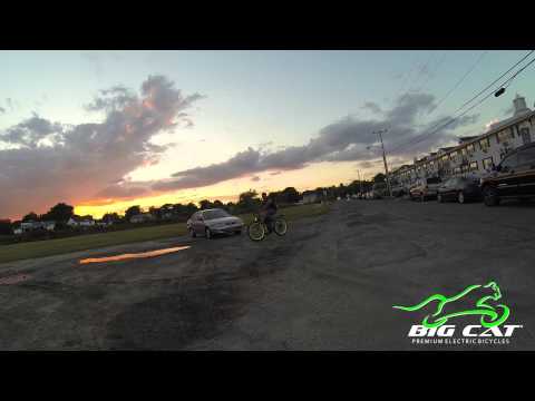 2015 Big Cat ® Ghost Rider & Long Beach Cruiser