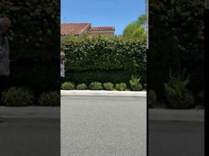 Hoverboard Actually Hovers  #shorts