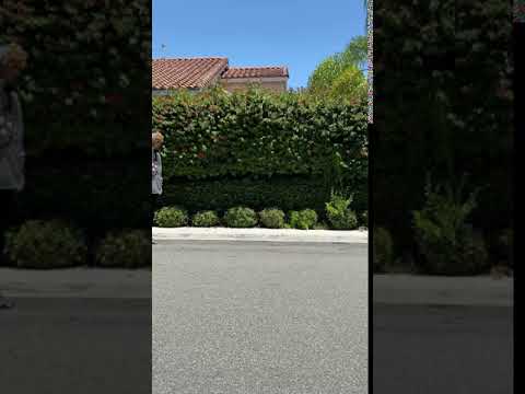 Hoverboard Actually Hovers  #shorts