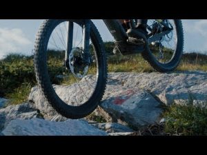 Trek Powerfly
