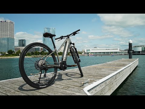 Trek Dual Sport+