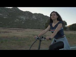 Addmotor MOTAN M-150 500W 20″ Fat Tire Electric Folding Bike