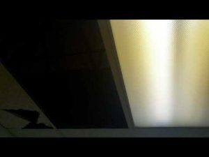 Building our first real office