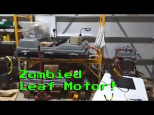 Nissan Leaf Zombie Guts-The Walking Dead!