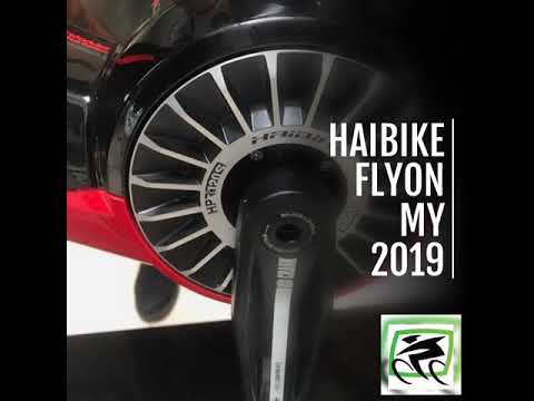 Haibike FLYON 10.0