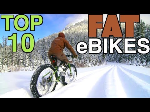 Top 10 Best Fat Tire eBikes for Sale