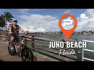 Pedego Juno Beach | Electric Bike Store | Juno Beach, Florida