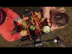 Episode 9 – A Family Cargo Bike Picnic