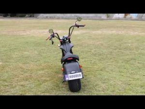 Rooder Super Chopper Electric R804-m1 with eec coc 2000w20ah 1500w12ah