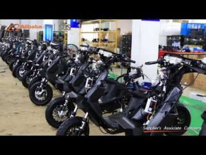 SGS APPROVAL MANUFACTURER 2019-HANBIRD