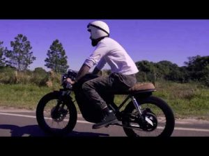 The art of nature | FLY FREE | SMART OLD-STYLE