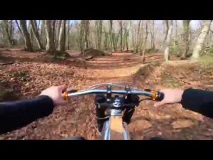 Electric Ride in the Forest