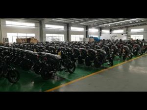 Electric moped manufacturers Evolts, one of the highest quality electric scooter distributors.