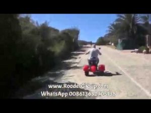 Three wheel electric scooter with eec coc Feedback from South Africa