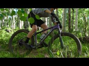 Trek Roscoe