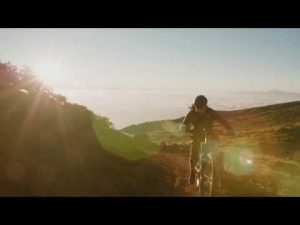 The new Performance Line CX: Features explained