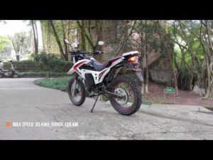 Powerful Electric Motorcycle DENZEL LIBERTY