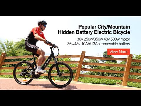 Shuangye hot sell 26” 28” electric bike A5AH26