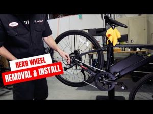 Juiced Bikes Rear Wheel Removal and Installation