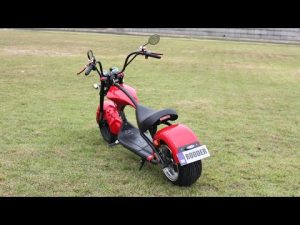 How to release the speed of the Harley electric scooters Rooder citycoco Chopper