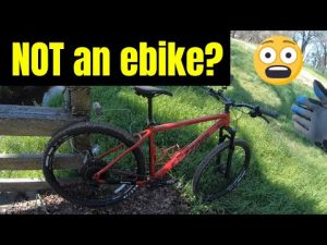 Maintain Your Health: Ride a Bike