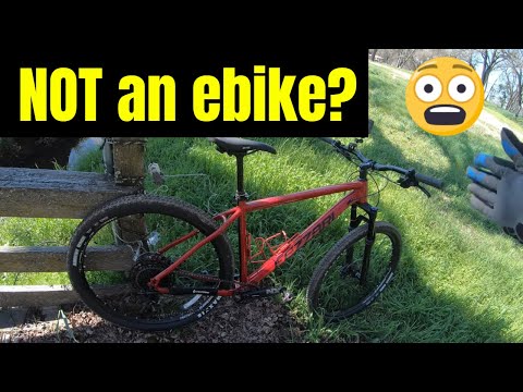 Maintain Your Health: Ride a Bike