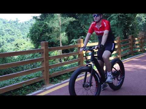 big power Shuangye most popular fat electric bike A6AH26F